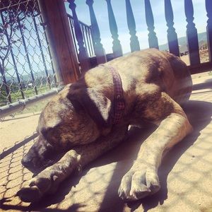 Meet your Posher, Robyn